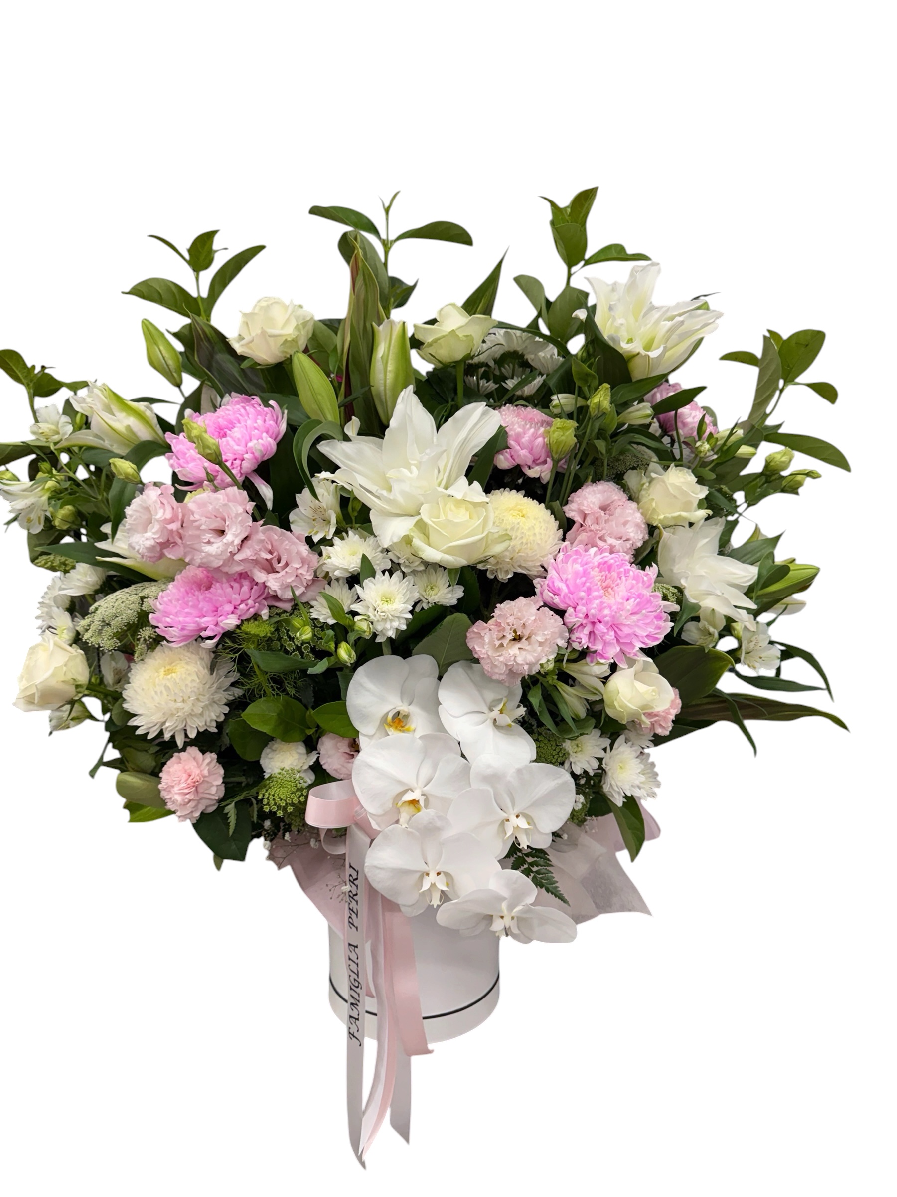 Photoroom_20260419_130148